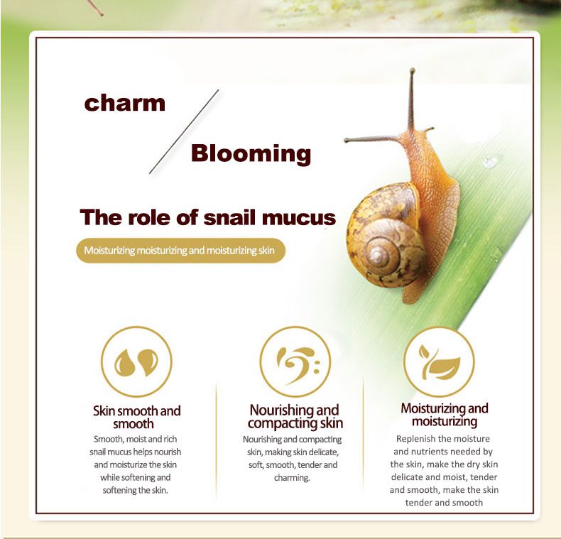 OneSpring Snail Cream Anti Wrinkle and Nourishing Acne Treatment Faical Skin Care Moisturizer Repair Face Cream OneSpring Snail Cream Anti Wrinkle and Nourishing Acne Treatment Faical Skin Care Moisturizer Repair Face Cream