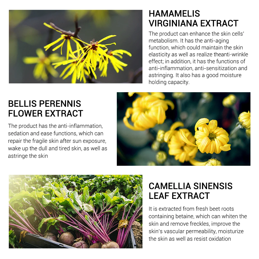 LANBENA 15ml Pore Treatment Serum Shrink Pores Repair Skin Damage Moisturizing Oil-Control Smooth Essence Face Serum Skin Care LANBENA 15ml Pore Treatment Serum Shrink Pores Repair Skin Damage Moisturizing Oil-Control Smooth Essence Face Serum Skin Care